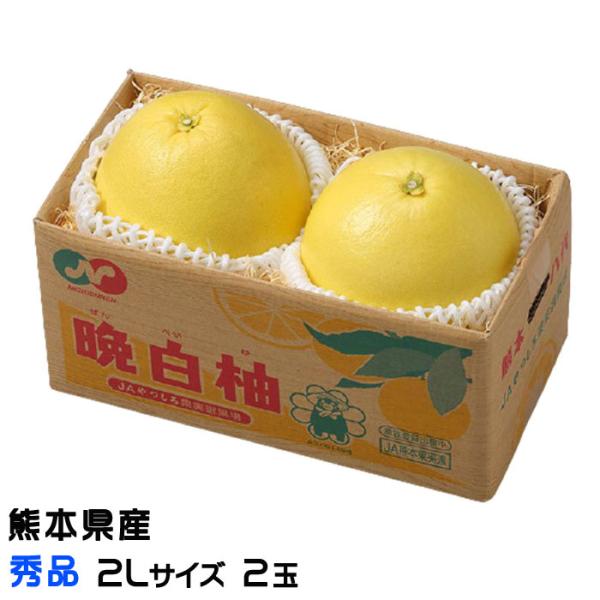 晩白柚の人気商品 通販 価格比較 価格 Com