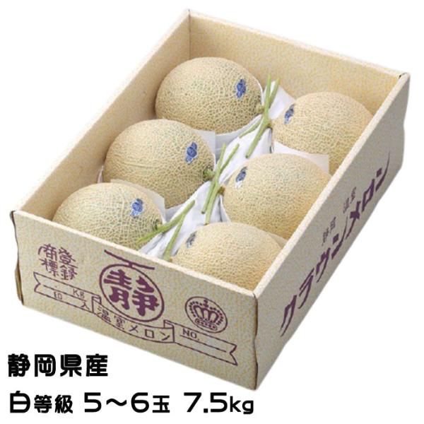 お中元 メロン クラウンメロン 白等級 5〜6玉 7.5kg 静岡県産 めろん