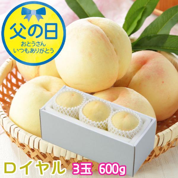 岡山県産白桃 晴れ未来 ロイヤル 14個入り 岡山の白桃】ご予約受付中🍑 梅雨真っ只中☔ 湿気も多く、気分も