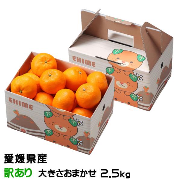 みかん はれひめ 訳あり 大きさおまかせ 2.5kg みきゃん箱入り 愛媛県