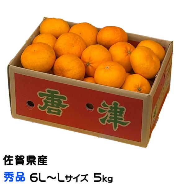 Junミカンカンさま専用 みかん 2号缶 ( ミカン / 缶詰 )| A-プライス | A-プライス