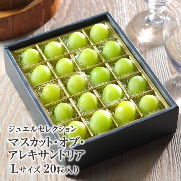 }XJbg Iu ALThA WGZNV LTCY 20 RY  uhE