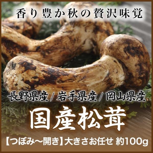 国産 天然 松茸の人気商品・通販・価格比較 - 価格.com