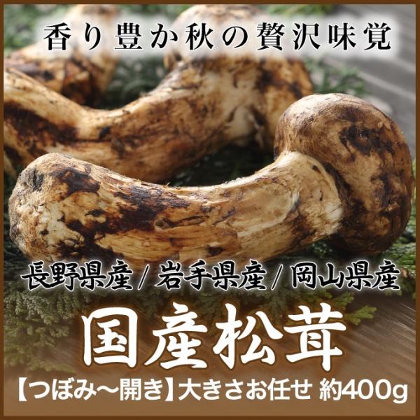  VR ܂ Y  {Y YnI Gi ڂ݁`Ђ炫 傫܂ 400g