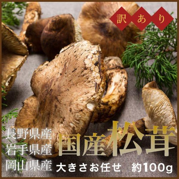  VR ܂ Y  {Y YnI 󂠂 傫܂ 100g