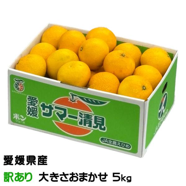 みかん サマー清見 風のいたずら ちょっと訳あり 大きさおまかせ 5kg 希少な黄色い清見オレンジ 愛媛県産