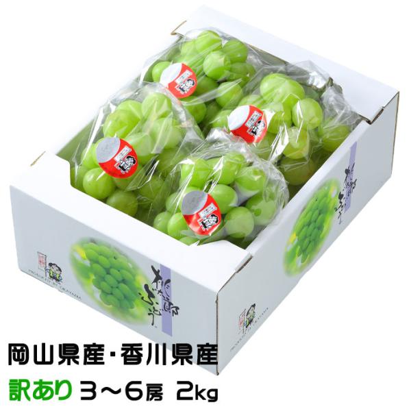 桃太郎ぶどう 2枚目