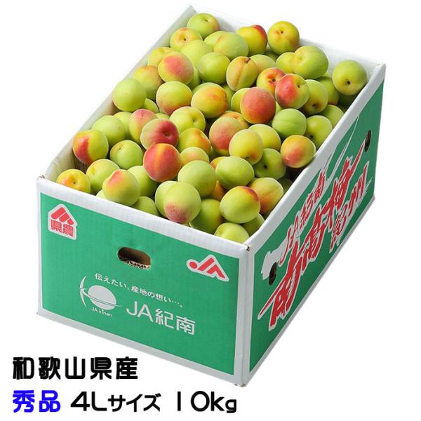 超美品再入荷品質至上 南高梅 青梅 3l 大玉 4l 特大 L