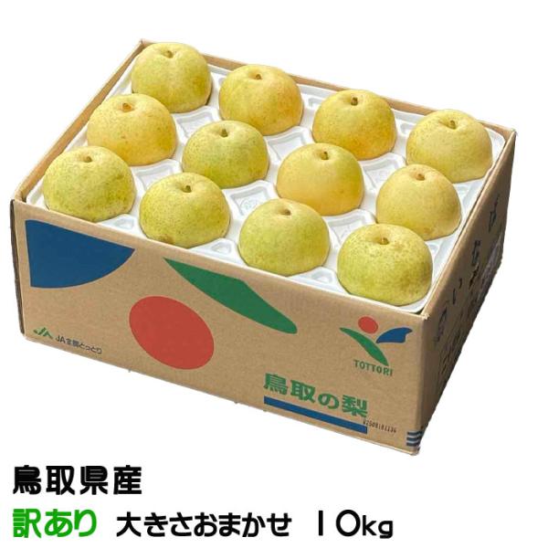 鳥取県を代表する果物。爽やかな甘み、たっぷり果汁。※画像はイメージです。※天候等により出荷時期が前後する場合がございます。※ご家庭用の訳あり品です。キズ等で見た目が悪い果実を含みます。果物 フルーツ 旬 ギフト 贈り物 お礼 内祝 御供 ギ...