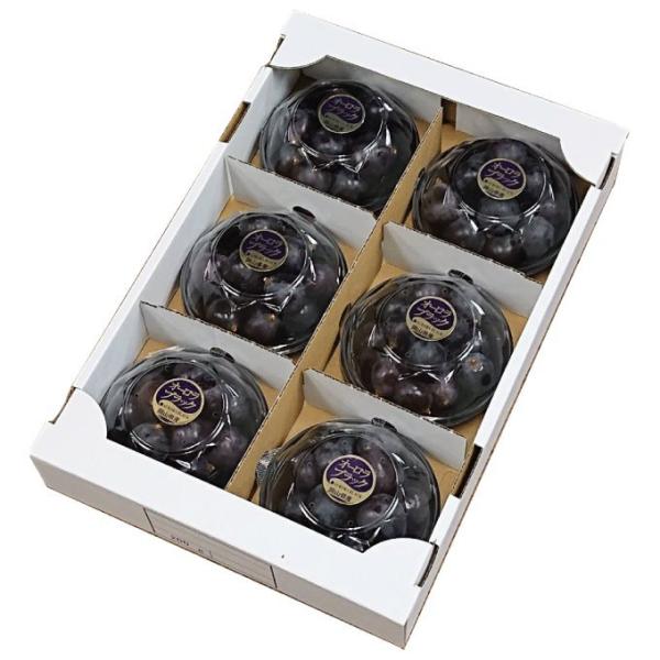 Ԃǂ I[ubN EݗƂ ԏG 200g x 6pbN RY i`  uhE Mtg 