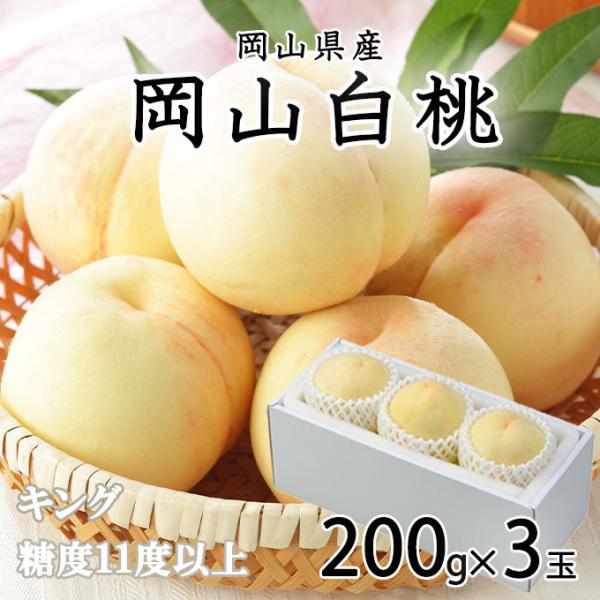 hachiya-fruits_okh013
