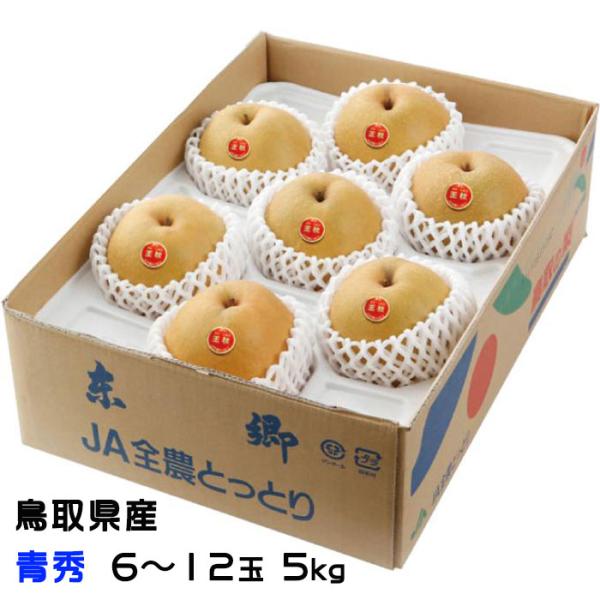 梨の王様！　鳥取県産の希少品種 鳥取の特産品。王秋梨は、「慈梨　ツーリー」という中国梨と「二十世紀梨」に「新雪」をかけ合わせて生まれた品種。卵のような特徴のある形、そして柔らかい果肉ながら中身はびっくりするほどジューシー！　果物 フルーツ ...