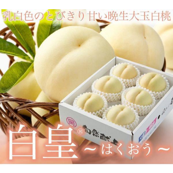 桃 白皇 はくおう 岡山白桃 エース  4〜6玉 1kg 岡山県産 JAおかやま もも モモ