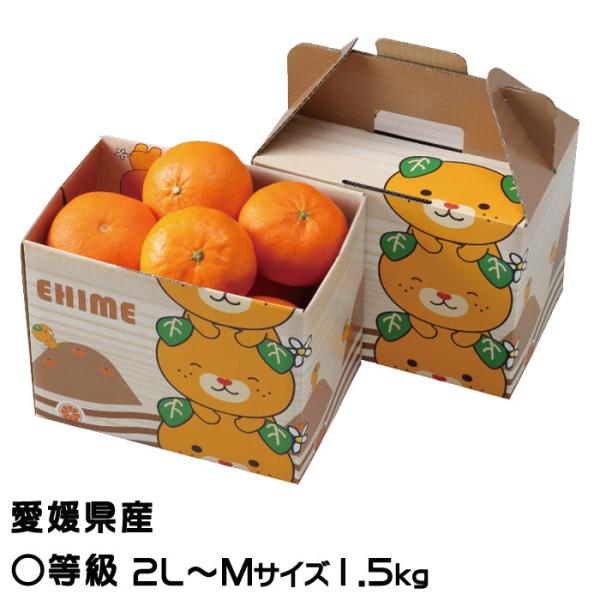 糖度16.2度　せとか　LとM混合　箱込みで とっても せとか】とってもジューシー！ せとかです