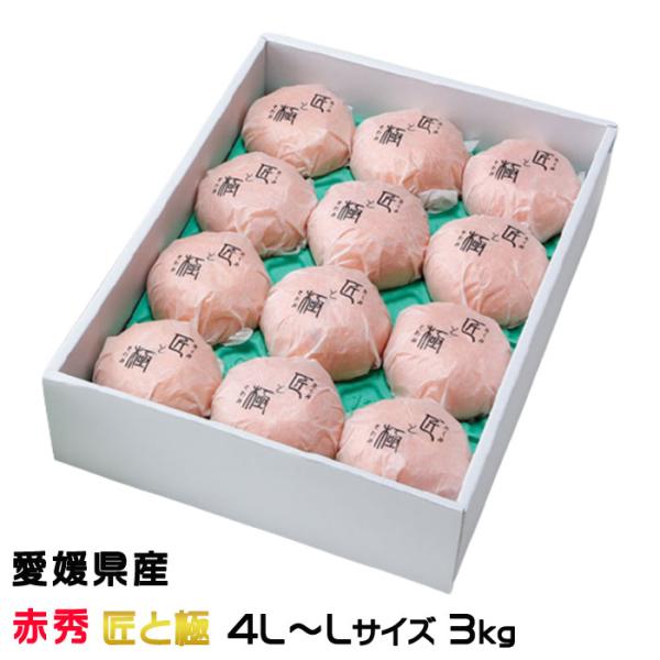 みかん☆さま確認ページ♡ みかん様 ミカン様 ミカン様 蜜柑様 レビュー】ZXシリーズ10周年