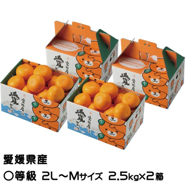 愛媛産せとか　お得なセット2Lサイズ✕２箱　計10キロ（箱込み） せとか 2キロ 柔らかい果肉 良品 家庭用 L 2L サイズ混合 2kg まれに傷