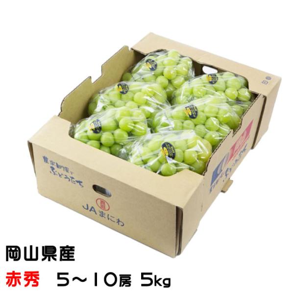 お得用！！岡山県産【シャインマスカット】秀品　10房　5kg！ hachiya-fruits_sha011