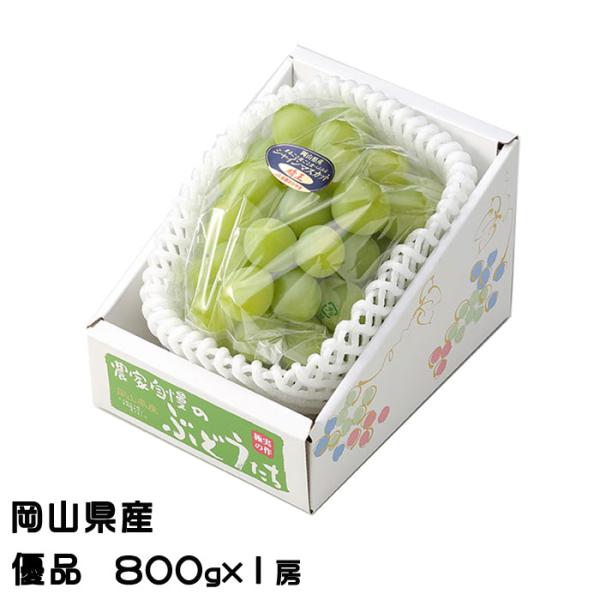 ぶどう シャインマスカット 晴王 優品 800g×1房 岡山県産 葡萄
