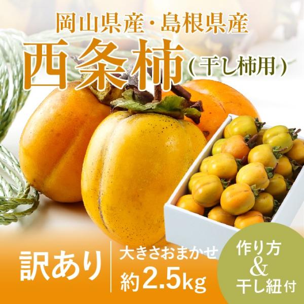 ` a` `pZbg }t  ݂邵Rt Ɩ󂠂 傫܂ 2.5kg  RY Y