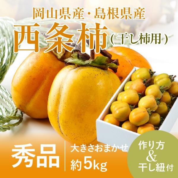 ` a` `pZbg }t  ݂邵Rt Gi 傫܂ 5kg  RY Y