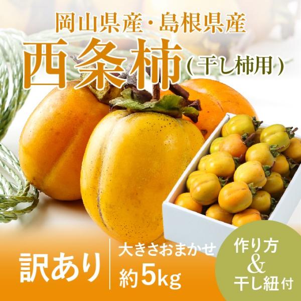 ` a` `pZbg }t  ݂邵Rt Ɩ󂠂 傫܂ 5kg  RY Y