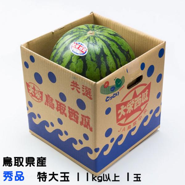 スイカ マダーボールスイカ M001-002 - 神奈川県三浦市｜ふるさと