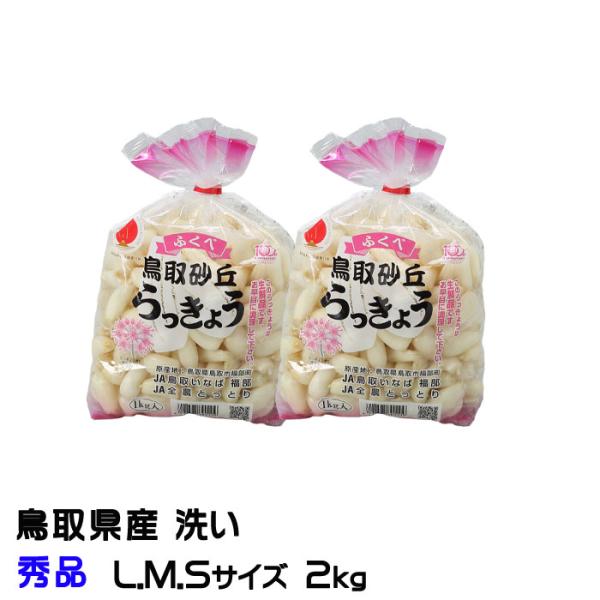 鳥取県産 砂丘らっきょう ★6/1発送予定★ 鳥取県産 無農薬 砂丘らっきょう