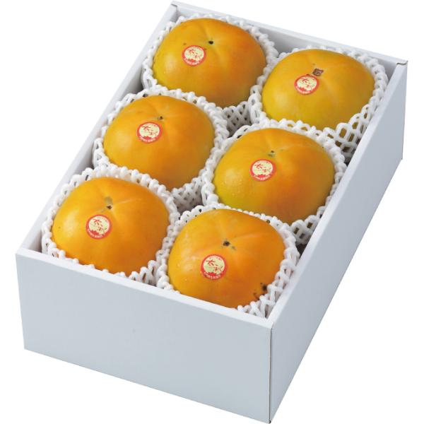 ` H` イ Gi 5`U 1.5kg YnI  JL