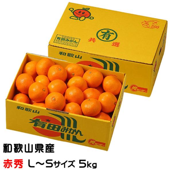 【入手困難】【L】的兵みかん/和歌山県/田口完熟CLUB/的場清/青秀5kg みかん 有田みかん 赤秀 L〜Sサイズ 5kg 和歌山県産 JAありだ ミカン