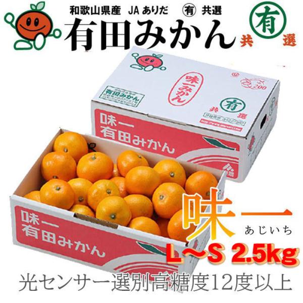 ݂ v~ALc݂  L`STCY 2.5kg x12xȏ a̎RY x12xȏ JA肾 ~J  Mtg