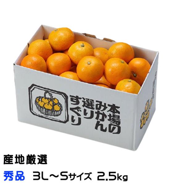 ミカン 俊菓みかん（しゅんか）和歌山県産 2S〜L サイズ指定はできません