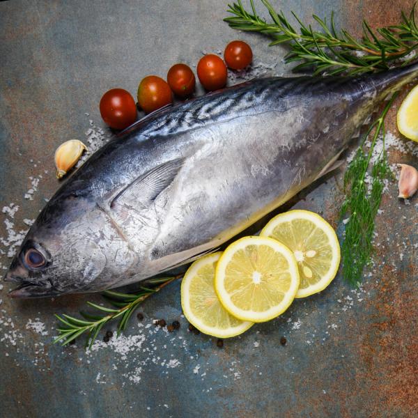 焼津 海の極 国産 マグロ まるごと 一匹 20kg 巨大鮪 マル 冷凍 海鮮丼 刺身 寿司 漬け丼 海伸 本場の海鮮 新鮮 業務用 飲食店 お店 ※冷凍のため解凍、保管に注意※この商品はビンチョウマグロまるごと一匹の商品です。その他のマグ...