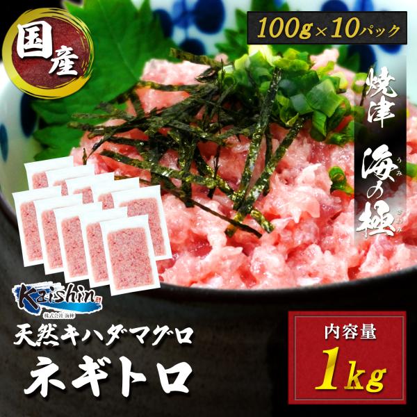 焼津　海の極 まぐろのたたき 静岡県焼津市製造天然キハダマグロ 冷凍 100g×10パック◇確かな目利きで選び抜かれたマグロを海伸より皆様にお届けします！◇静岡県焼津市製造のあま〜い絶品マグロ！◇100％キハダマグロを使用しています！◇脂肪...