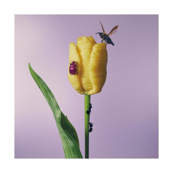 あいみょん / おいしいパスタがあると聞いて (180g重量盤) (2LP)
