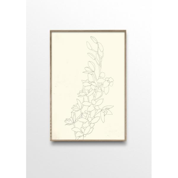 BY GARMI | ORCHID No 2 | アートプリント/ポスター (50x70cm)【北欧 シンプル アート インテリア おしゃれ】