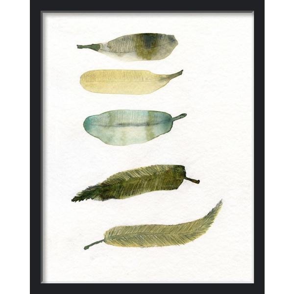 THE CLAY PLAY | WATERCOLOR BIRD FEATHERS (green/yellow) (no.283) | A3 アートプリント/ポスター