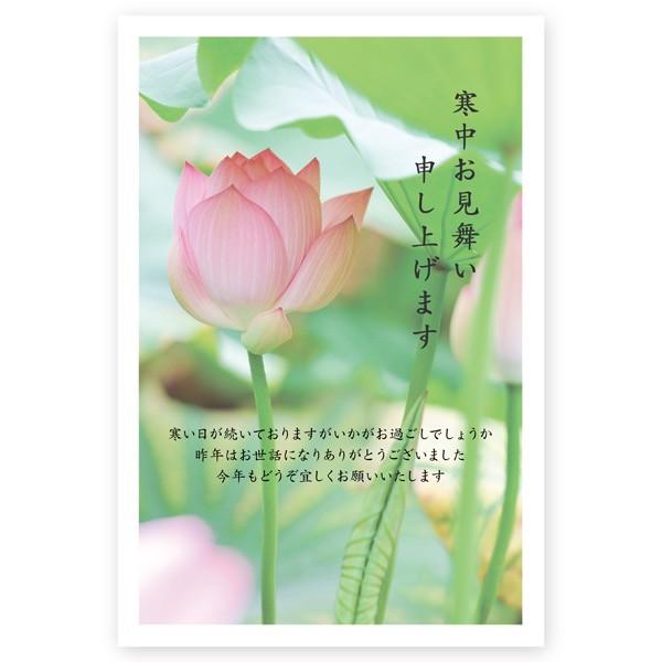 PO @͂  nKL t@KSA-11