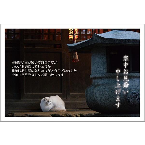 PO @͂  nKL t@KSF-11