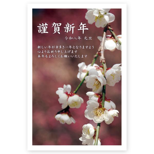 年賀状 2026年 午年 うま年 馬 私製年賀はがき 5枚 ne105 : ハガキ