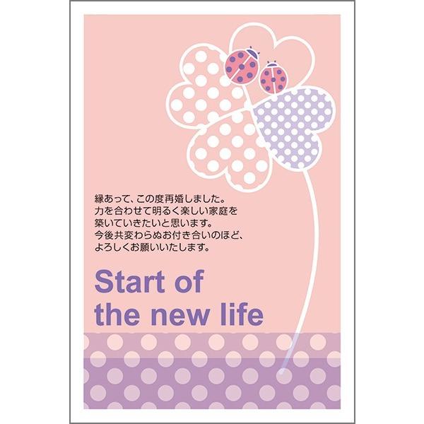 ͂ PO @č  nKL m点 t ͂@SAI-12