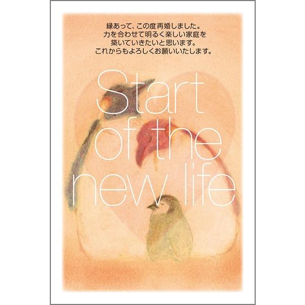 ͂ PO @č  nKL m点 t ͂@SAI-16