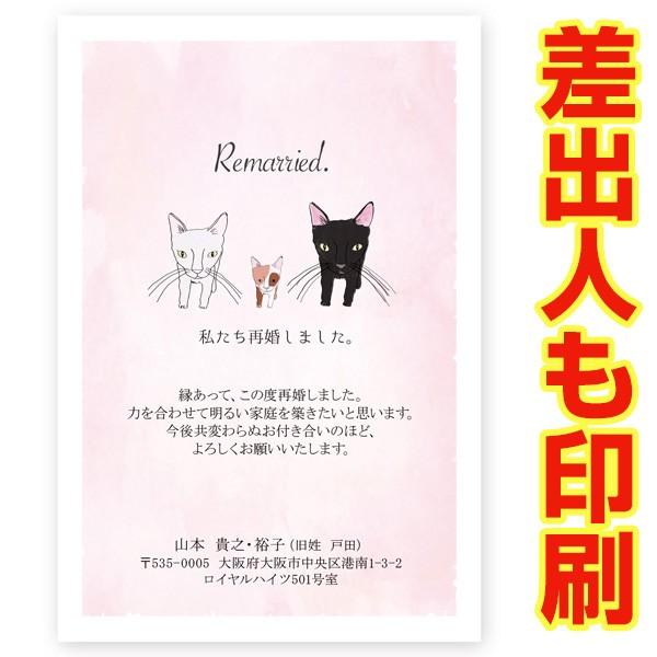 ol ͂ RO @č  ͂ t nKL   SAI-20@č m点