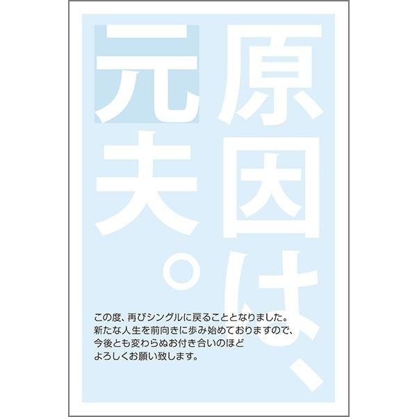 PO @  nKL m点 t ͂@SMS-51