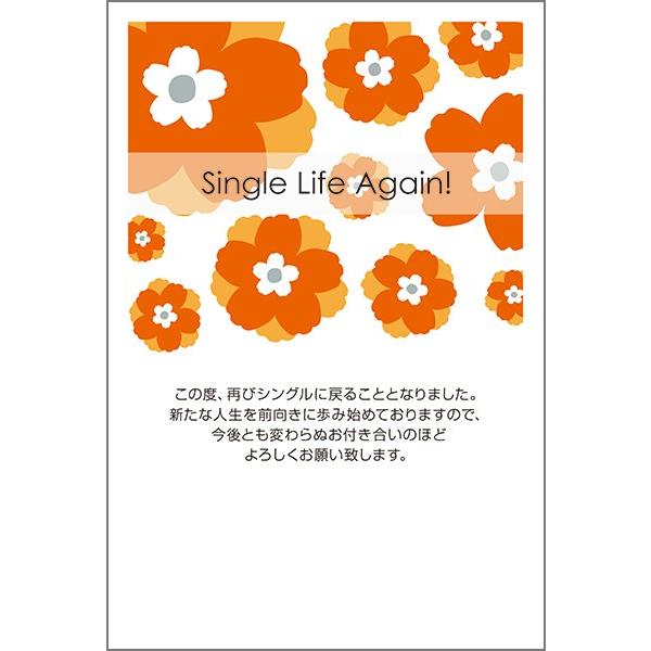 PO @  nKL m点 t ͂@SMS-55