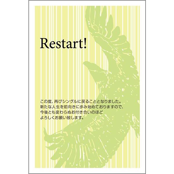 PO @  nKL m点 t ͂@SMS-62