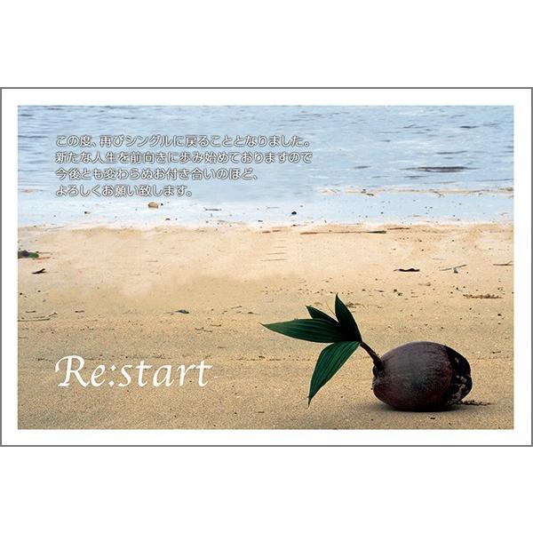 PO @  nKL m点 t ͂@SMSF-04