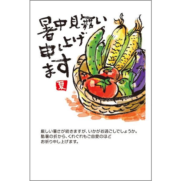 官製はがき 記念はがき 普通はがき 暑中見舞いはがき 10円はがき 官製はがき10枚 暑中お見舞いハガキ(うちわと朝顔)暑中見舞い