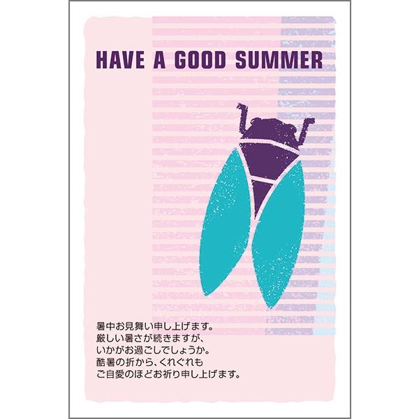 ͂ PO @ nKL  A t  ͂@SS-22