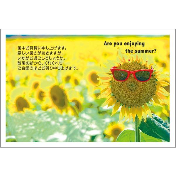 ͂ PO @ nKL  A t  ͂@SSF-08