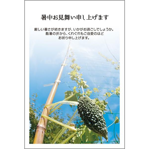 ͂ PO @ nKL  A t  ͂@SSF-11